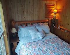 Tüm Ev/Apart Daire Beautiful Cabin Next To Hiking Trails And Forest Reserve (Center Lovell, ABD)