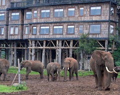 Otel Treetops Lodge (Nyeri, Kenya)