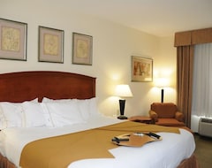 Khách sạn Holiday Inn Express Hotel & Suites Dallas - Grand Prairie I-20, An Ihg Hotel (Grand Prairie, Hoa Kỳ)