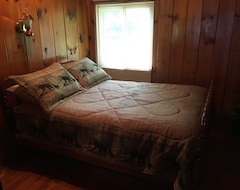Entire House / Apartment Beautiful Nostalgic Lodge Style Log Cabin On Sullivan Lake. Free Use Of Pontoon (Lastrup, USA)