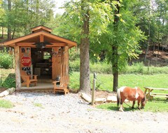 Toàn bộ căn nhà/căn hộ Tatonka Lodge, 2 Master Suites On A Buffalo Ranch! (Clyde, Hoa Kỳ)