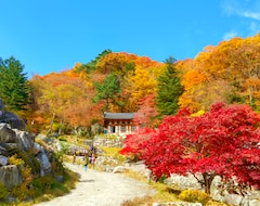 Nhà trọ Muju Yangji-tteul Pension (Muju, Hàn Quốc)