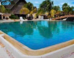 Hele huset/lejligheden Beachfront Apartment With Swimming Pool. One Bedroom (Celestún, Mexico)