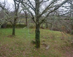 Tüm Ev/Apart Daire Un Cocon Dans La Nature (Meyrignac-l'Église, Fransa)