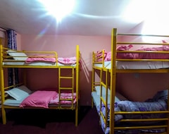 Khách sạn wanderers nest hostel (Jaipur, Ấn Độ)