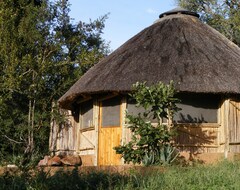 Toàn bộ căn nhà/căn hộ Umlani Bush Camp Timbavati Game Reserve (Timbavati, Nam Phi)