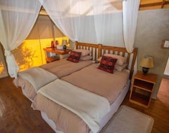 Khách sạn Lion Tree Top Lodge (Hoedspruit, Nam Phi)