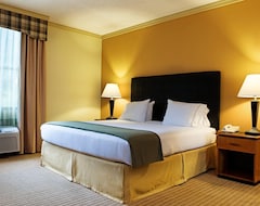 Holiday Inn Express Hotel & Suites Irving Dfw Airport North, An Ihg Hotel (Irving, USA)
