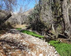 Entire House / Apartment Nan Ranch Bunkhouse Cabin On Historic Mimbres Valley Ranch (Hurley, USA)