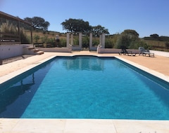 Tüm Ev/Apart Daire 3 Bedroom Alentejo Style Villa With Private Pool In Beautiful Rural Countryside (Santa Clara-a-Velha, Portekiz)