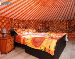 Toàn bộ căn nhà/căn hộ Colourful Mongolian Yurt Enjoy A New Experience (Turriff, Vương quốc Anh)