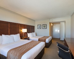 Hotelli Comfort Inn By The Bay (San Francisco, Amerikan Yhdysvallat)
