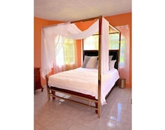 Koko talo/asunto 3 Bedrooms 4 Bathrooms-3ks Golden Circle House (Christiana, Jamaika)