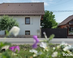 Toàn bộ căn nhà/căn hộ Valery House (Sibiu, Romania)