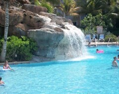 Hotel Marriott Surf Club Owner Weeks Always Discounted - Luxury Timeshare (Noord, Aruba)