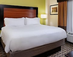 Holiday Inn Express And Suites Atlanta Downtown, An Ihg Hotel (Atlanta, USA)