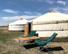 Entire House / Apartment Nomadic Family's Experience (Altanbulag, Mongolia)