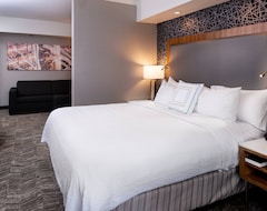 Hotel SpringHill Suites by Marriott Pittsburgh North Shore (Pittsburgh, USA)