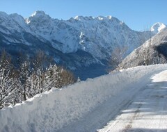 Koko talo/asunto Chalet Alpe Dreams - Your Second Home (Solčava, Slovenia)