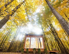 Toàn bộ căn nhà/căn hộ The Adler Cabin At Fernwood Hills (Komoka, Canada)