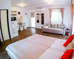 Huoneistohotelli Nice & Cozy Apartments (Timisoara, Romania)