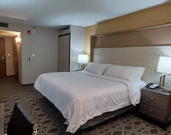 Khách sạn Holiday Inn Mcallen – Medical Center Area, An Ihg Hotel (McAllen, Hoa Kỳ)