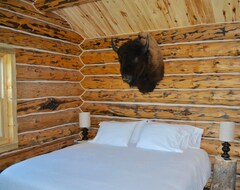 Entire House / Apartment Buffalo Cabin @ Paris MontanaÂ On Rock Creek (Red Lodge, USA)