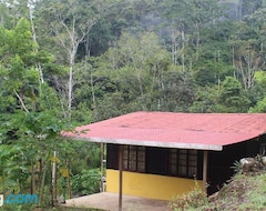 Lejlighedshotel Casa Colibri (Puerto Cortés, Costa Rica)