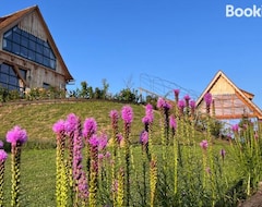 Resort Gospodaria Cobor - Adults only (Rupea, Romania)