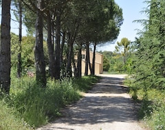 Toàn bộ căn nhà/căn hộ Cottage In The Middle Of Trees 5 Km From Lake Salagou (Mourèze, Pháp)