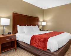 Hotel Comfort Inn & Suites Cincinnati Eastgate (Cincinnati, USA)