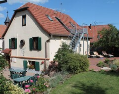 Toàn bộ căn nhà/căn hộ Charming Gite 3 On The Wine Route In Peace With Garden (Kintzheim, Pháp)