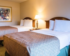 Hotel Vista Inn & Suites Tampa (Tampa, USA)