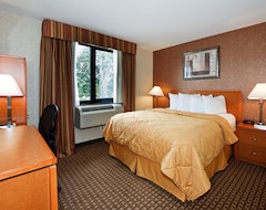 Hotelli Hotel Comfort Inn Bellerose (Hempstead, Amerikan Yhdysvallat)
