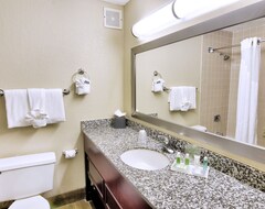 Hotel Holiday Inn St Petersburg N - Clearwater (Clearwater, USA)