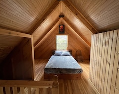 Entire House / Apartment Mountain Cabin Getaway - The Cranky Canard (Alturas, USA)