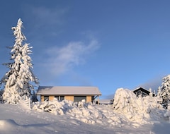 Hele huset/lejligheden 3 Bedroom Accommodation In SjusjØen (Ringsaker, Norge)