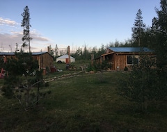 Tüm Ev/Apart Daire Cabin In The Mountains (Walden, ABD)