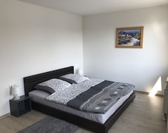 Koko talo/asunto Exclusive Apartment With Roof Terrace (Leipzig, Saksa)