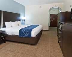 Otel Comfort Suites East New Orleans (New Orleans, ABD)