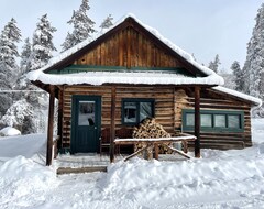 Tüm Ev/Apart Daire Charming Historic Mountain Cabin At Dreamy Art & Nature Retreat Center (Meredith, ABD)