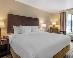 Hotel Comfort Inn & Suites (Pittsburgh, Sjedinjene Američke Države)