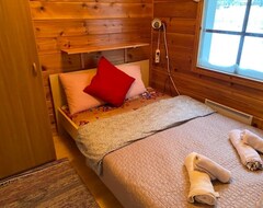 Tüm Ev/Apart Daire Countryside Riverside Cabin For Both Winter And Summer For Max 16 Persons (Janakkala, Finlandiya)