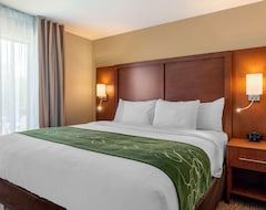 Hotelli Comfort Inn & Suites Schenectady - Scotia (Schenectady, Amerikan Yhdysvallat)