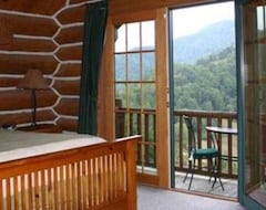 Hotel Wildberry Lodge (Leicester, USA)