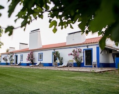 Tüm Ev/Apart Daire Sunset Red Villa, Wifi, Terrace, Swimming Pool (Sousel, Portekiz)