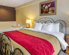 Khách sạn Quality Suites Altavista - Lynchburg South (Altavista, Hoa Kỳ)