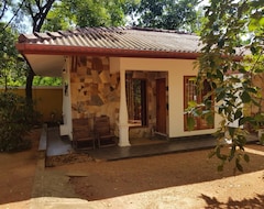 Otel Calm Cabana (Dambulla, Sirilanka)