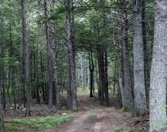 Casa/apartamento entero Cabin W/ Private Beach. Views Of Mountains, Lake And Sunset! Close To Acadia. (Cherryfield, EE. UU.)