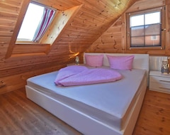 Toàn bộ căn nhà/căn hộ NEW: Exclusive detached 5 star holiday home for 2-4 persons with sauna (Teunz, Đức)